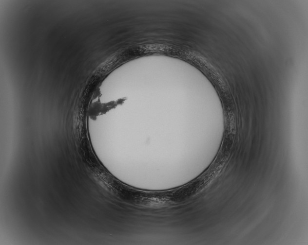 X0000086720737200705111554