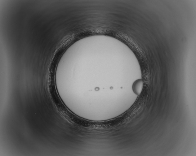 X0000086720738200705111554