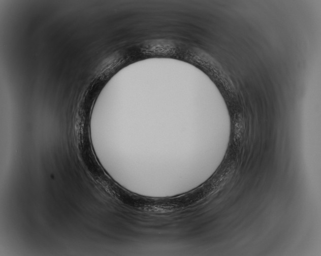 X0000086720739200705111554