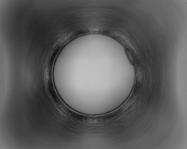 X0000086720740200705111554