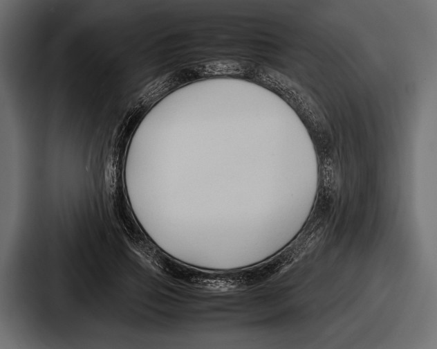 X0000086720741200705111554