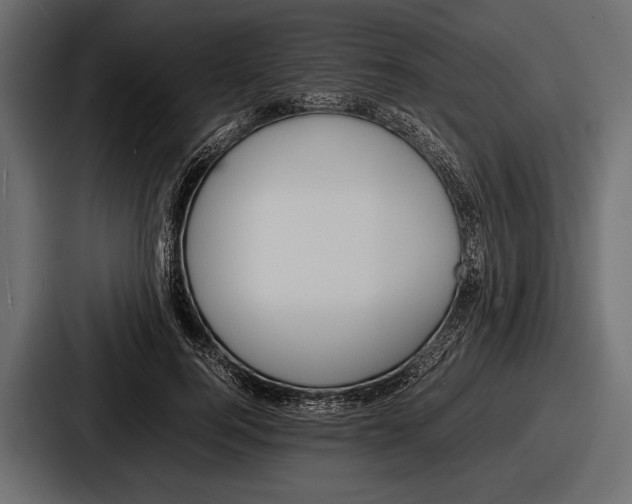 X0000086720744200705111554