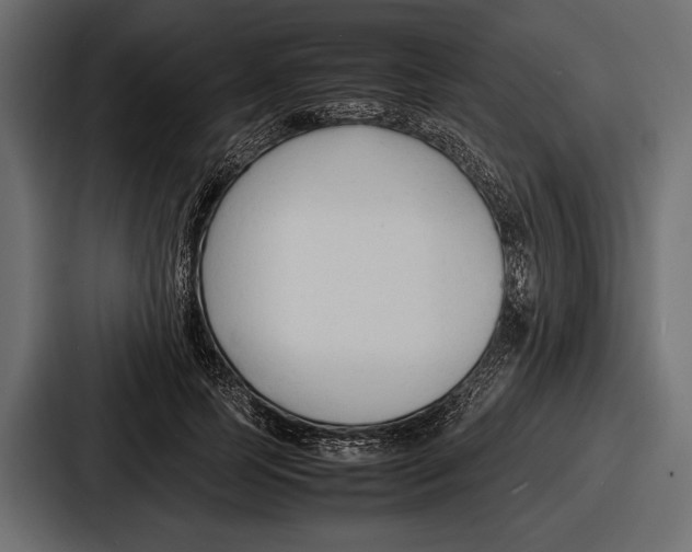 X0000086720745200705111554