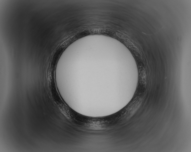 X0000086720746200705111554