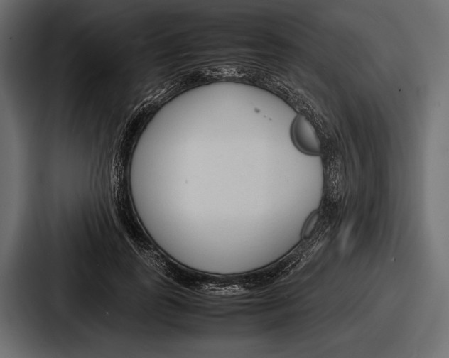 X0000086720747200705111554