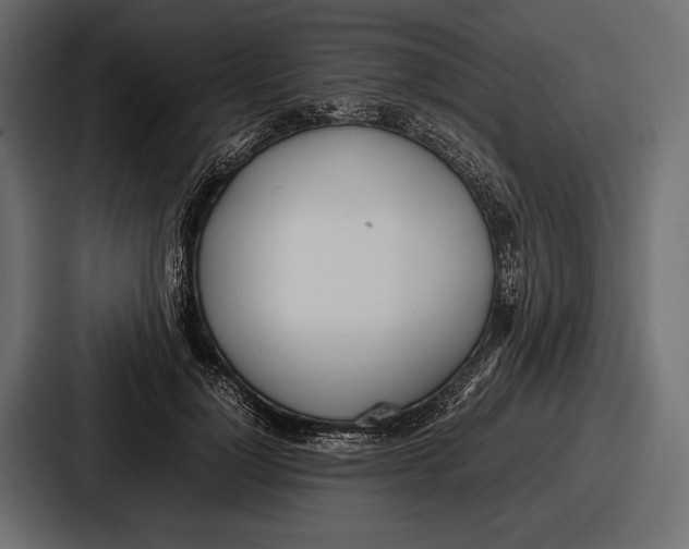 X0000086720748200705111554