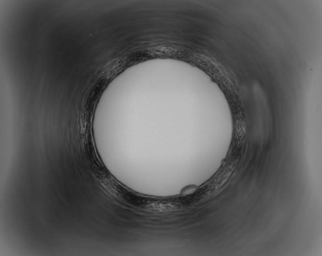 X0000086720749200705111554