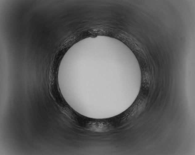 X0000086720751200705111555