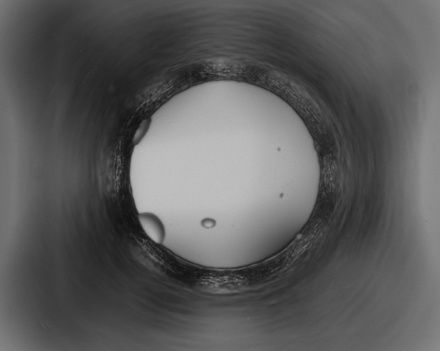 X0000086720752200705111555