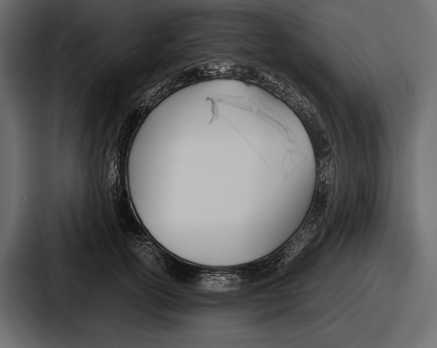 X0000086720754200705111555