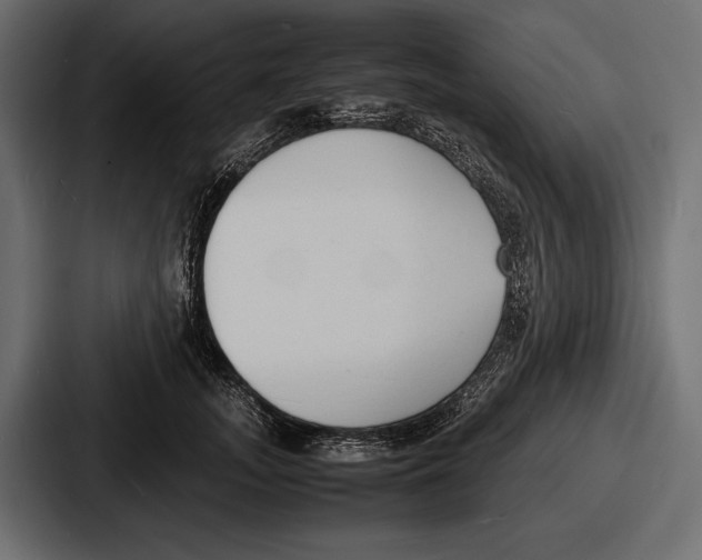 X0000086720755200705111555