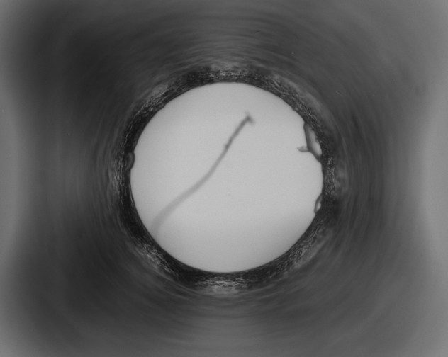 X0000086720756200705111555