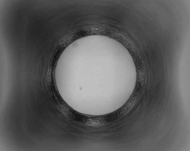 X0000086720757200705111555