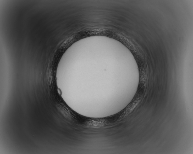 X0000086720758200705111555