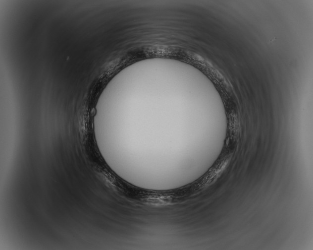 X0000086720760200705111555