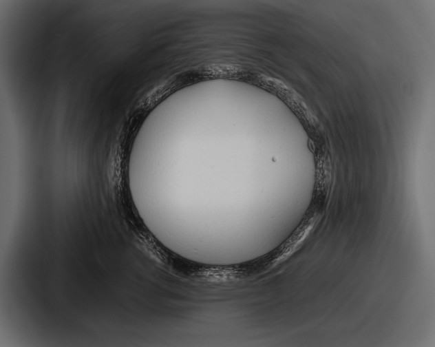 X0000086720762200705111555