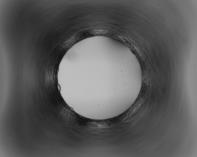 X0000086720763200705111555