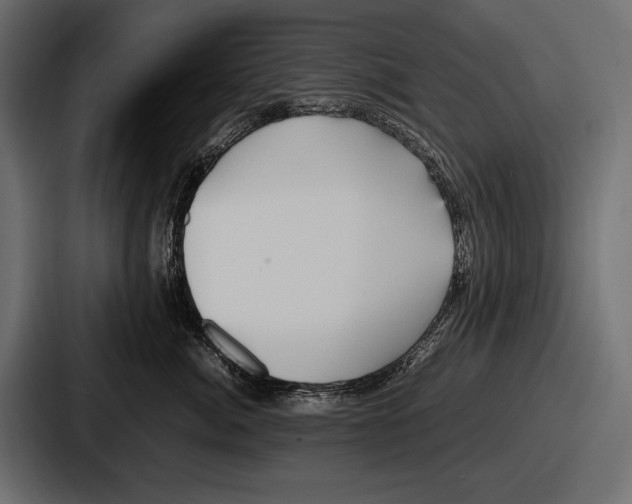 X0000086720764200705111555