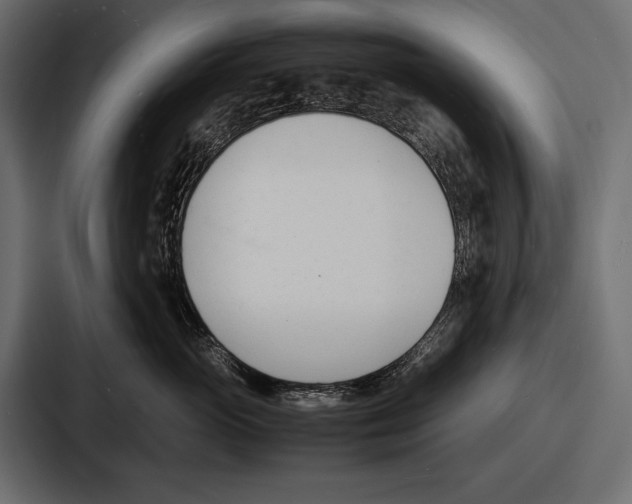 X0000086720765200705111555