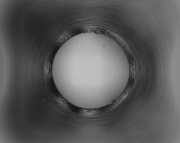 X0000086720766200705111555