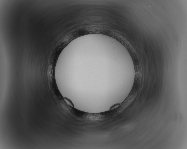 X0000086720767200705111555