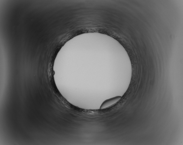 X0000086720768200705111555