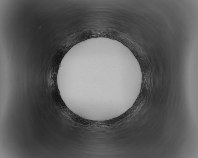 X0000086720770200705111554