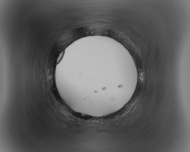 X0000086720771200705111554