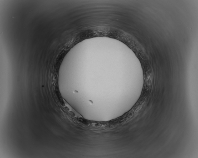 X0000086720772200705111554