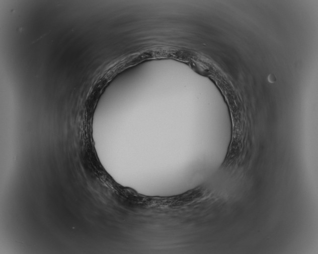 X0000086720773200705111554