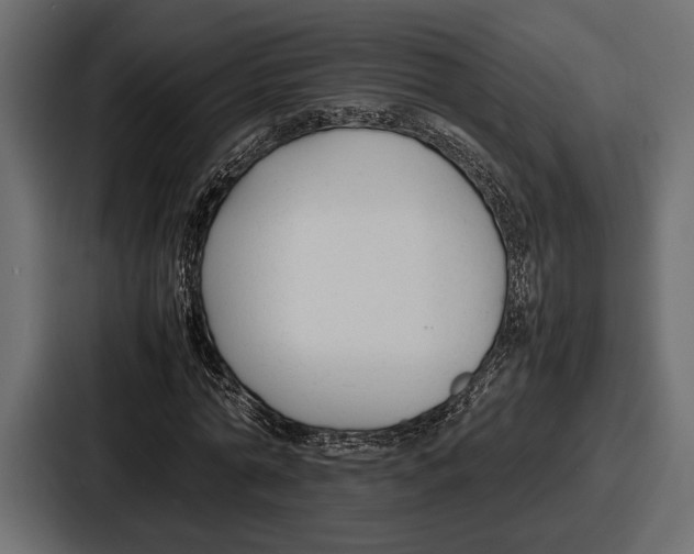 X0000086720774200705111554