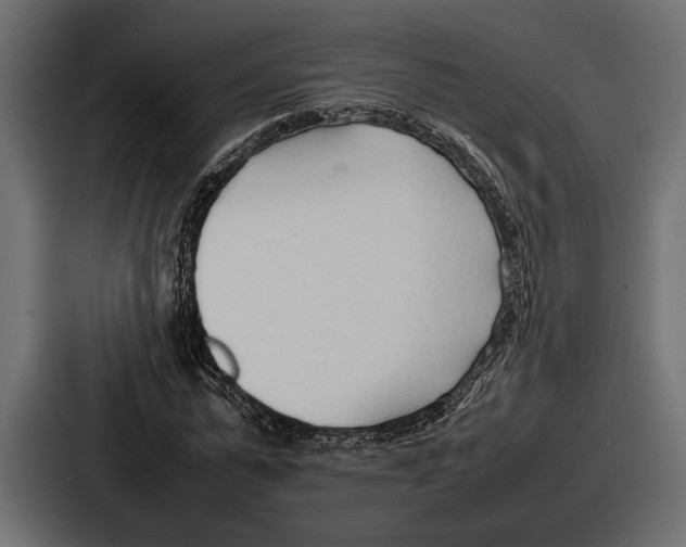 X0000086720775200705111554