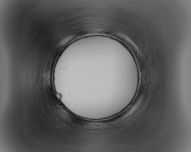 X0000086720777200705111554