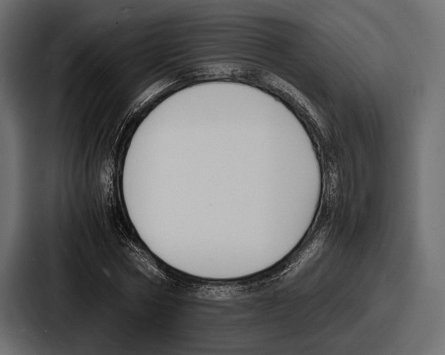 X0000086720778200705111554