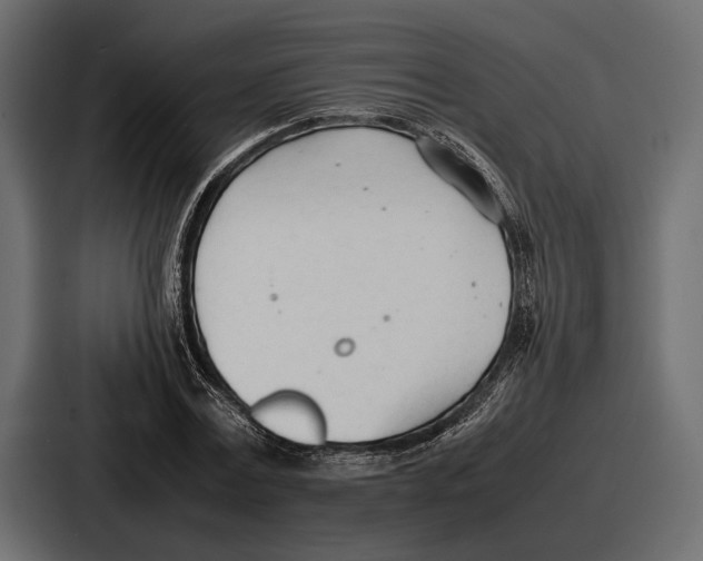 X0000086720779200705111554