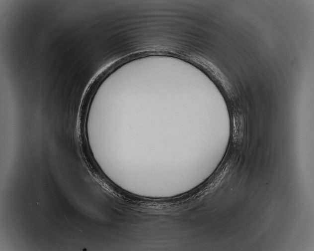 X0000086720780200705111554