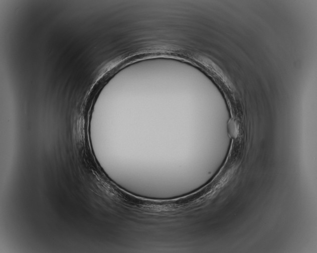 X0000086720781200705111554