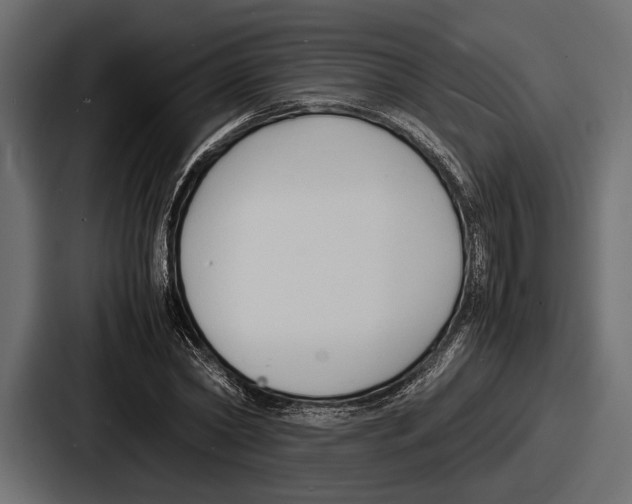 X0000086720782200705111554