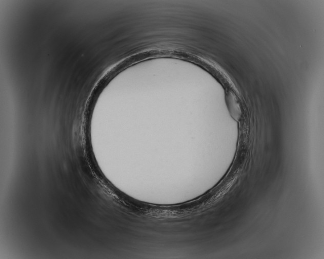 X0000086720783200705111554