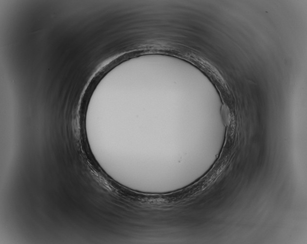 X0000086720784200705111554