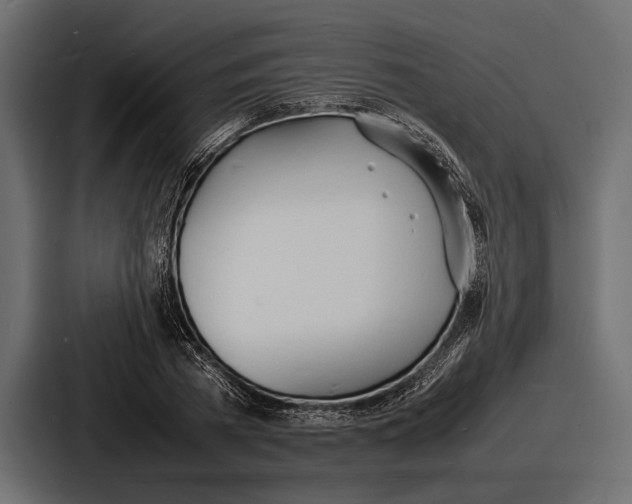 X0000086720785200705111554