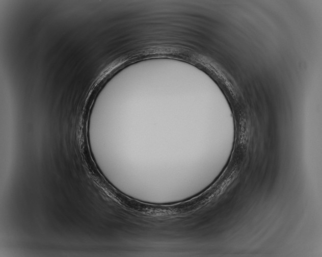 X0000086720786200705111554