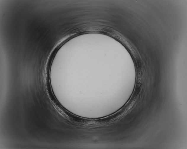 X0000086720787200705111554