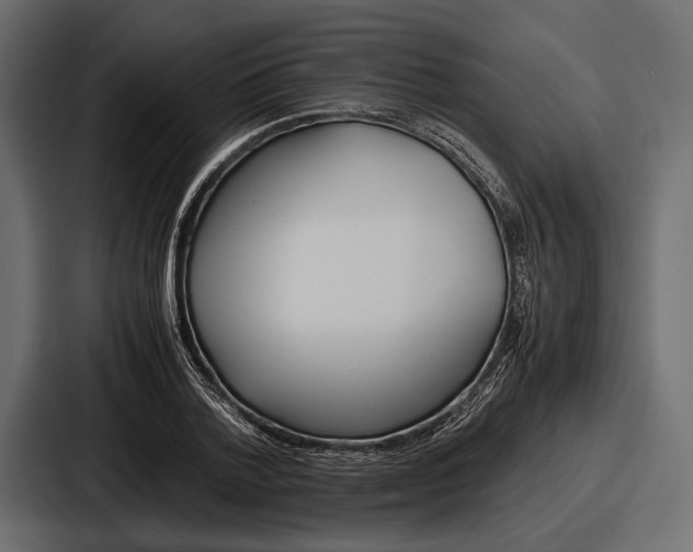 X0000086720788200705111554