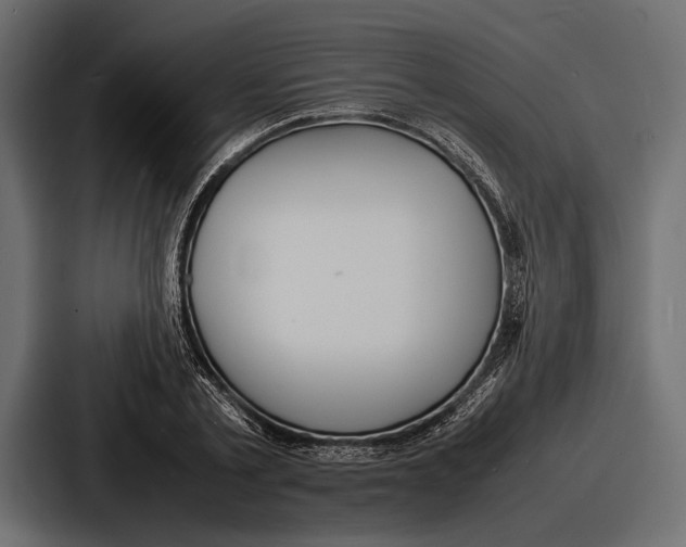 X0000086720789200705111554