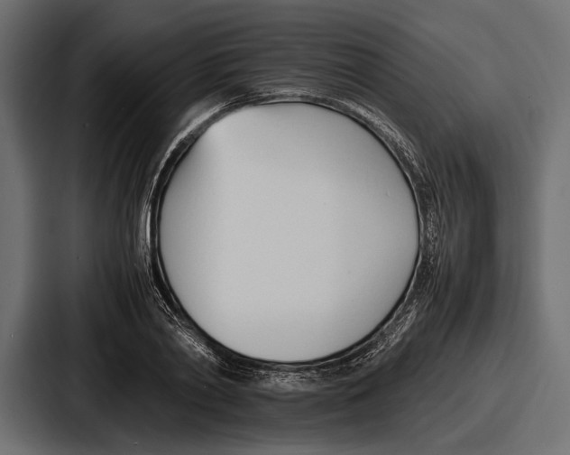 X0000086720790200705111554