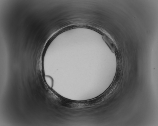 X0000086720791200705111554