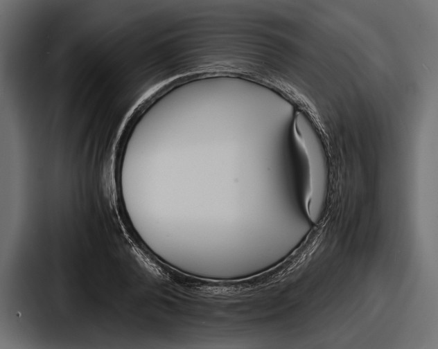 X0000086720792200705111554