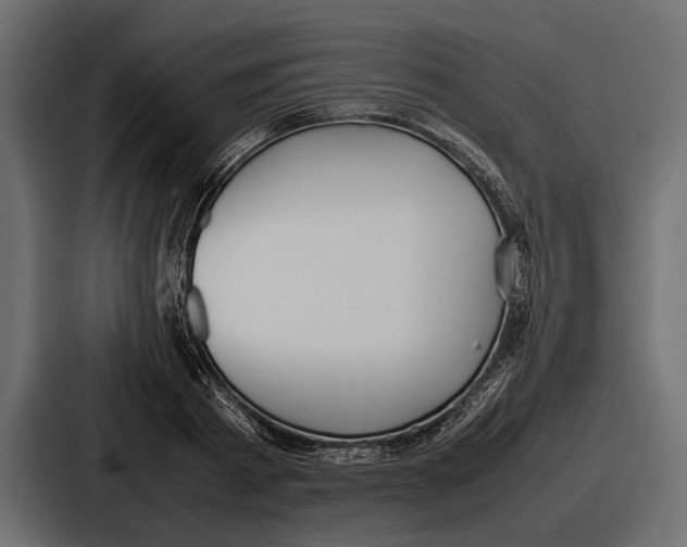 X0000086720793200705111554