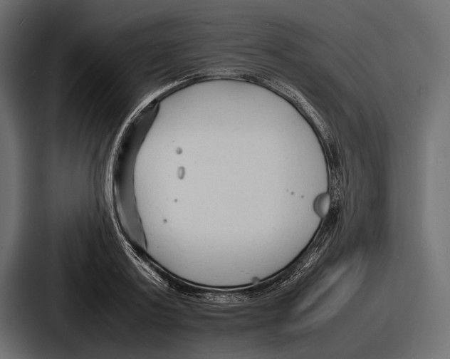 X0000086720795200705111554